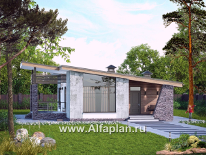 Проекты домов Альфаплан - «Корица» - проект дома с односкатной крышей, с двумя спальнями - превью основного изображения